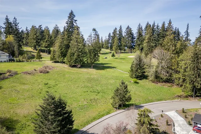 a view of a trees with a yard