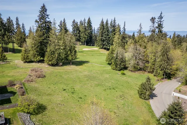 a view of a yard with large trees