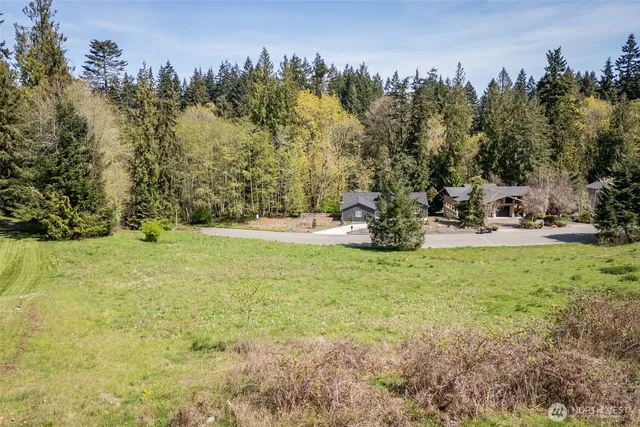 a view of a park with large trees