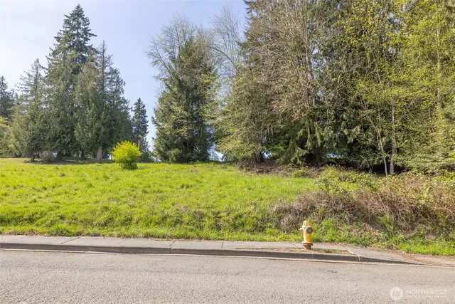a view of backyard with green space