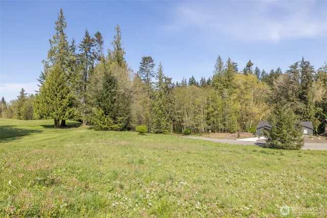 a view of outdoor space with mountain view