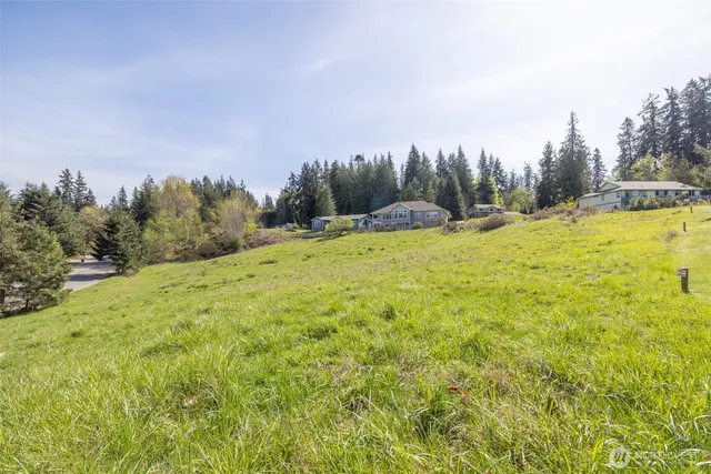 a swimming pool with trees in the background