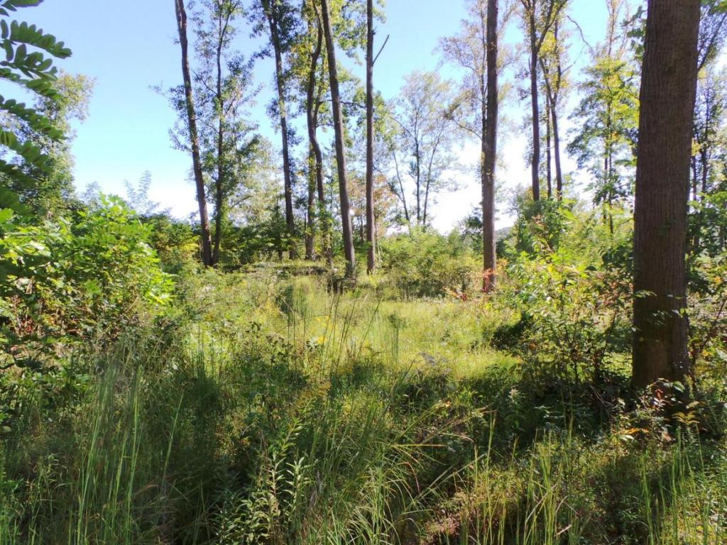 Lot 7 Rustic Way Kingsport, TN 37664 - Photo 9 of 10 Photo 9