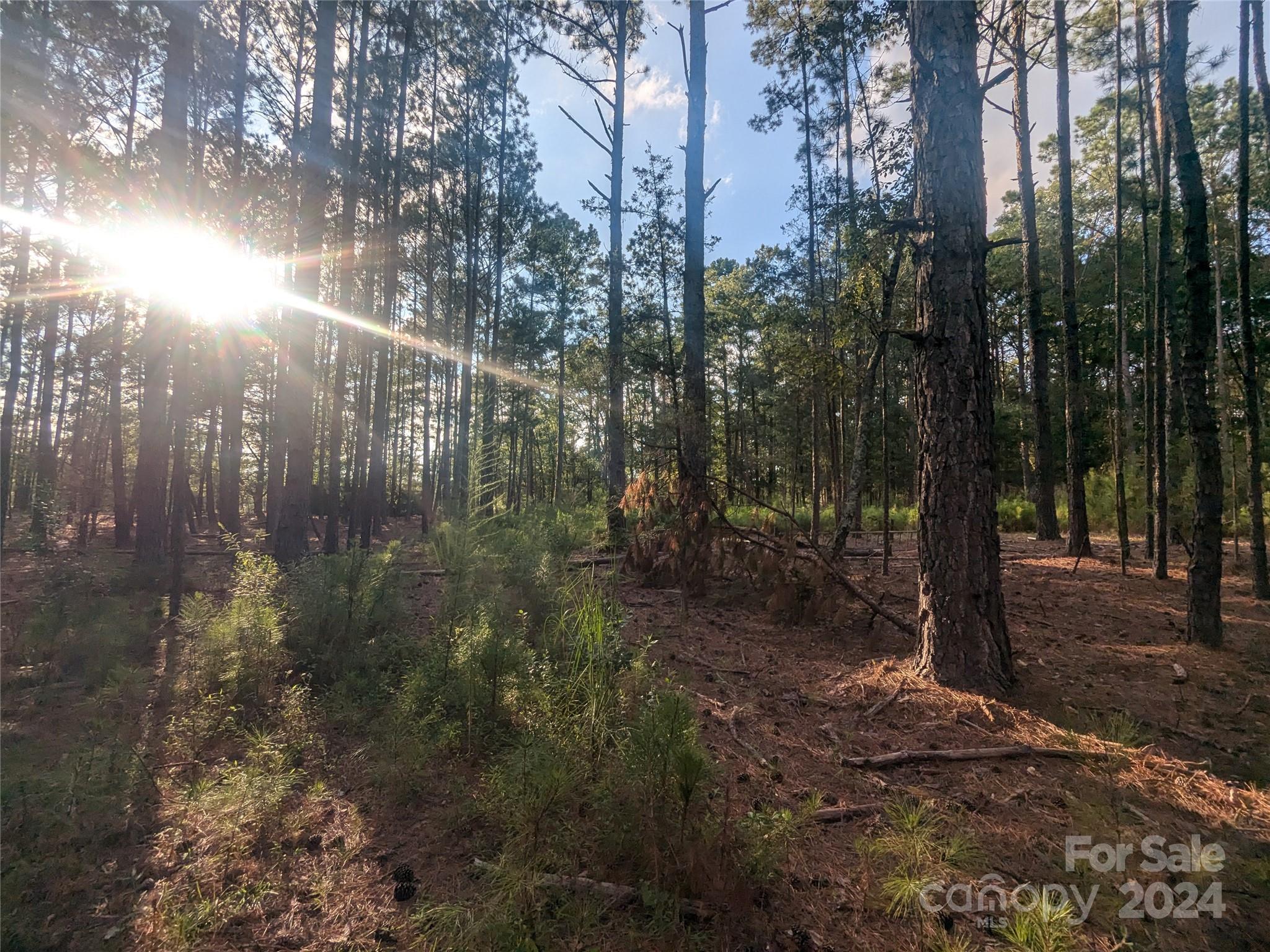2127 Old Field Road Rock Hill, SC 29730 - Photo 1 of 15 Gallery Image 1