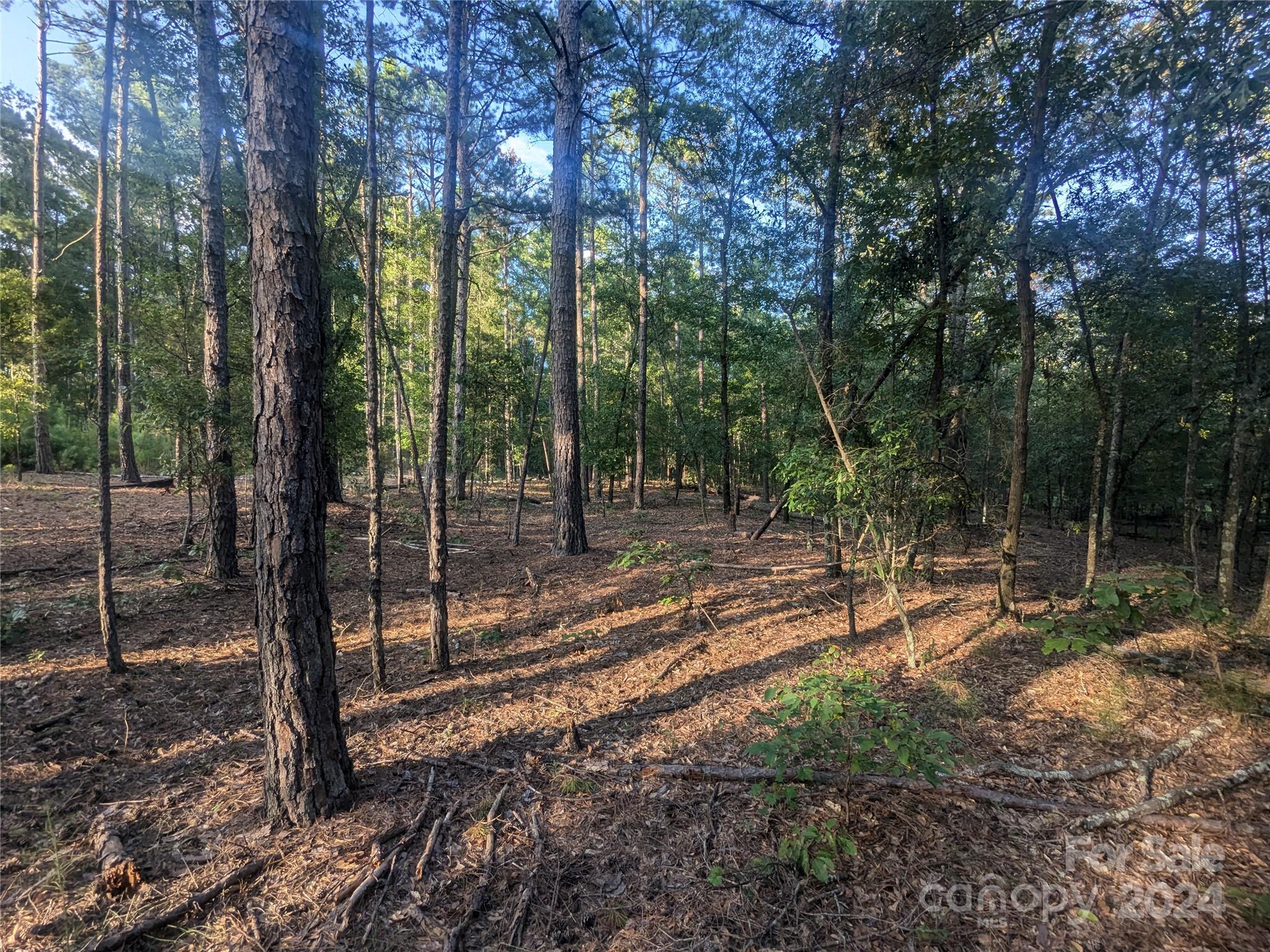 2127 Old Field Road Rock Hill, SC 29730 - Photo 12 of 15 Gallery Image 12