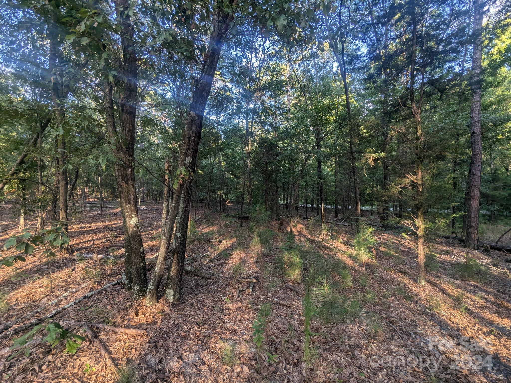 2127 Old Field Road Rock Hill, SC 29730 - Photo 13 of 15 Gallery Image 13