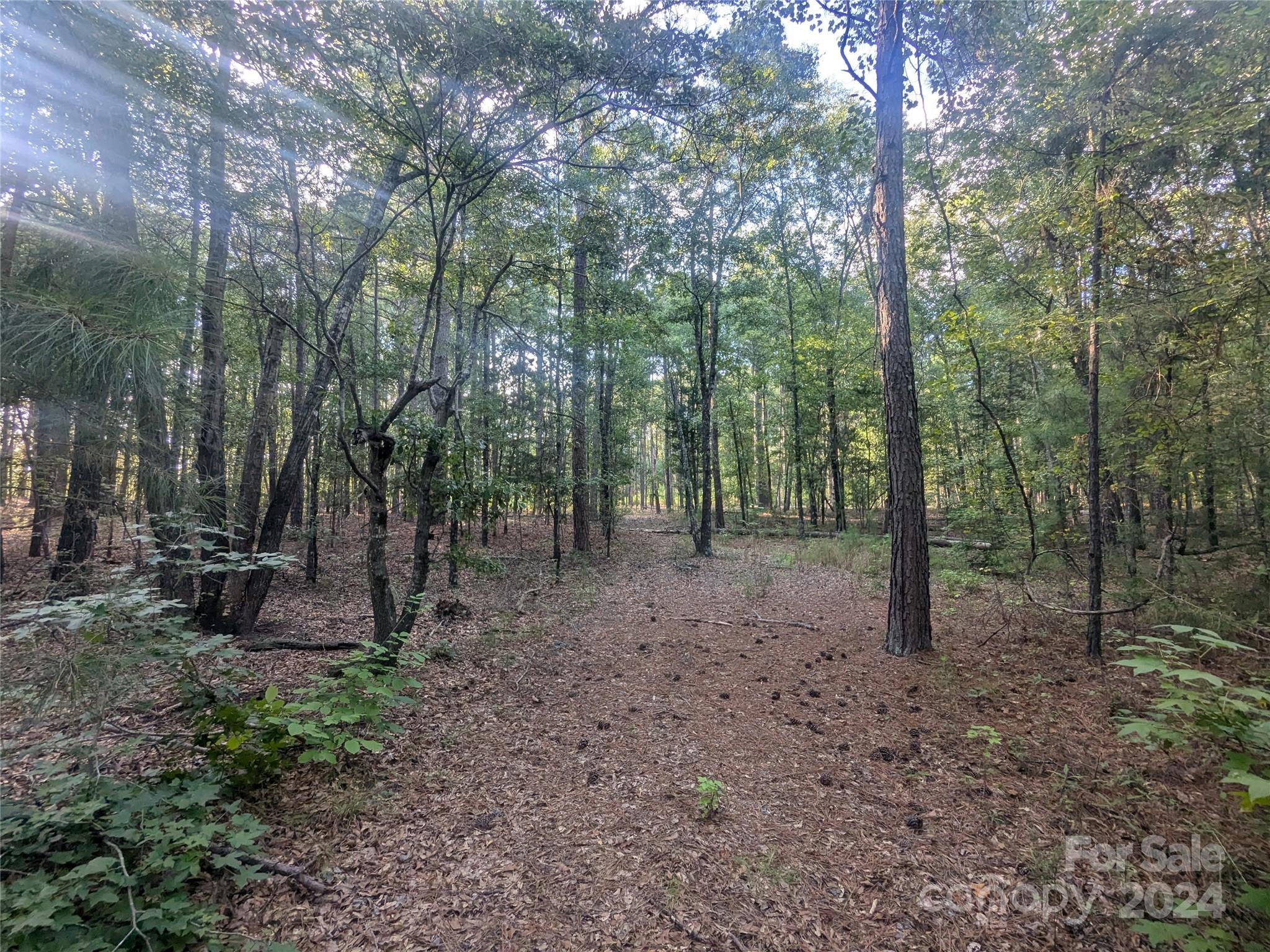 2127 Old Field Road Rock Hill, SC 29730 - Photo 4 of 15 Gallery Image 4