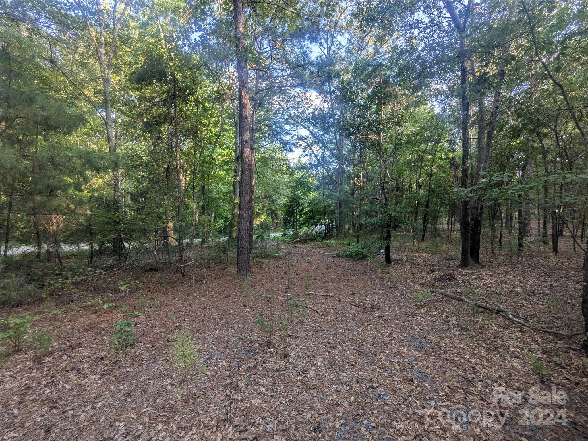 2127 Old Field Road Rock Hill, SC 29730 - Photo 5 of 15 Gallery Image 5