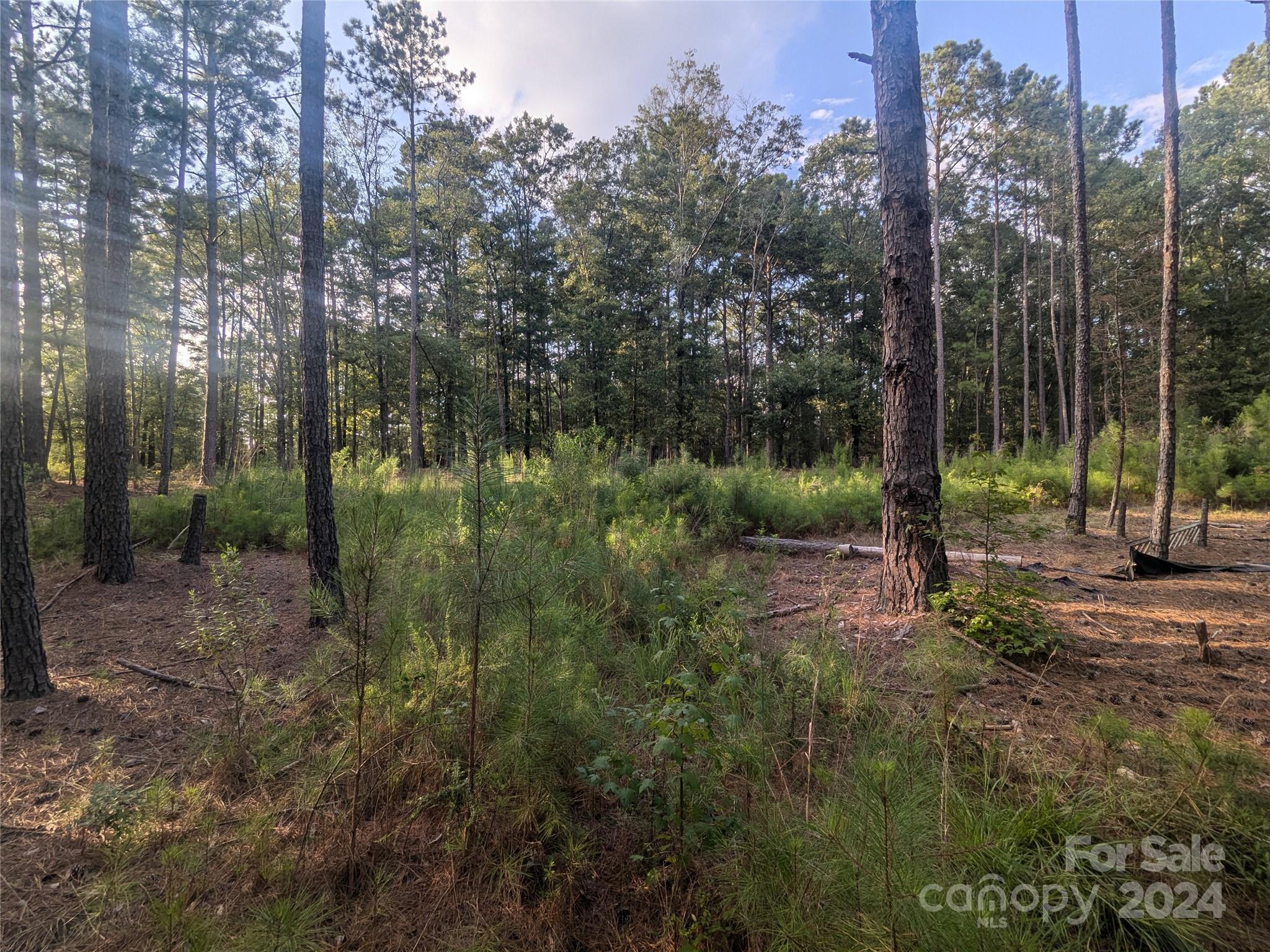 2127 Old Field Road Rock Hill, SC 29730 - Photo 7 of 15 Gallery Image 7