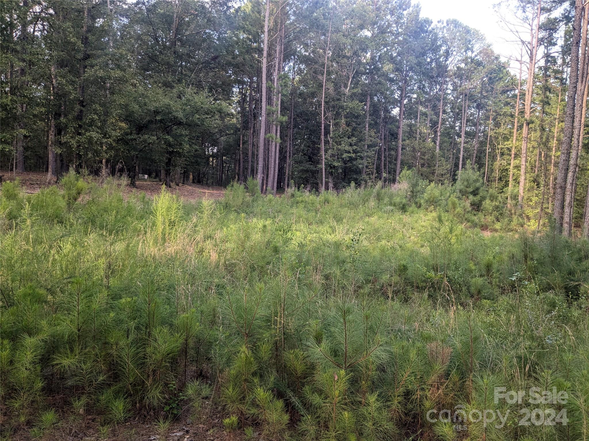 2127 Old Field Road Rock Hill, SC 29730 - Photo 8 of 15 Gallery Image 8