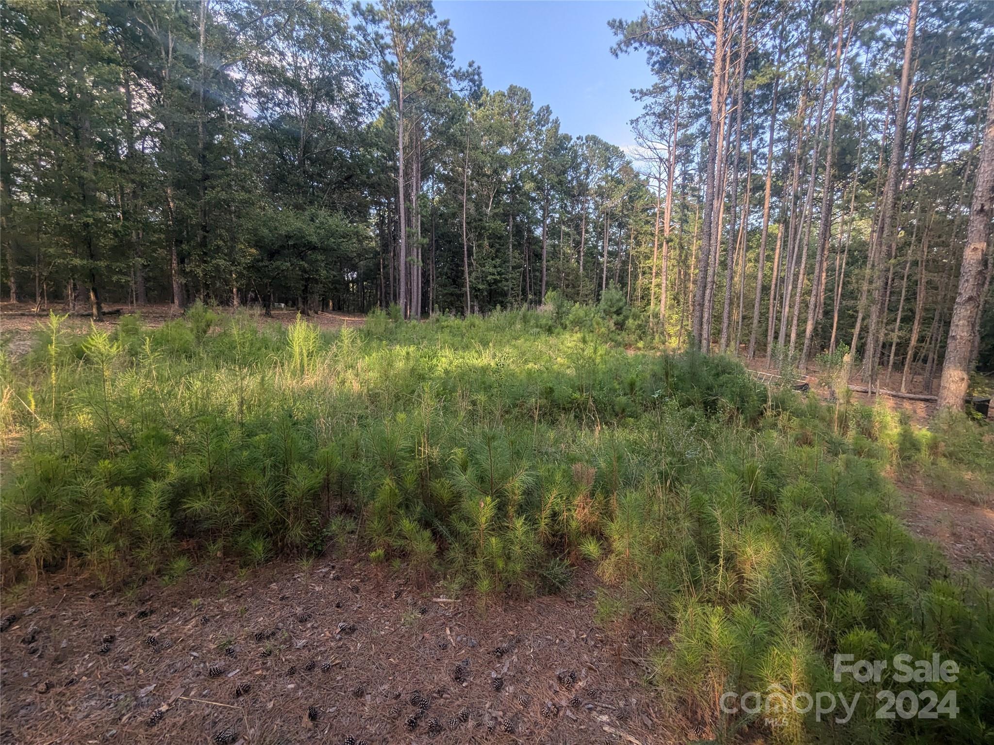 2127 Old Field Road Rock Hill, SC 29730 - Photo 9 of 15 Gallery Image 9