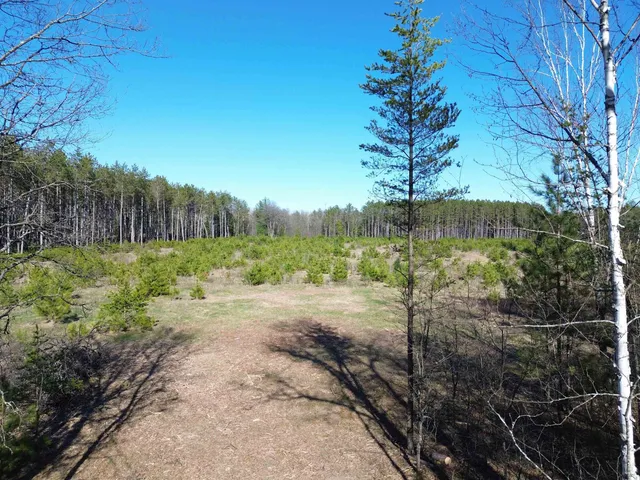 $115,000 | 11800 High Falls Road, Crivitz, WI 54114