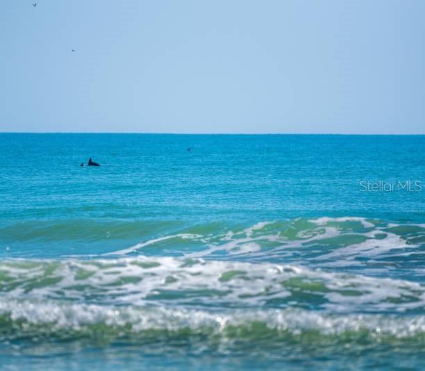 100 Windrush Boulevard, Unit 2 Indian Rocks Beach, FL 33785 - Photo 64 of 73 a view of a green field
