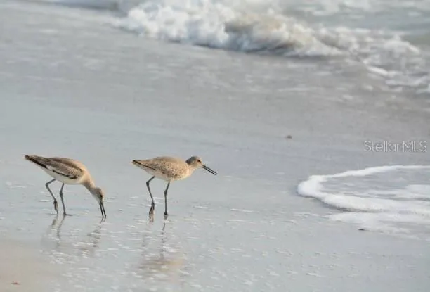 $1,200,000 | 100 Windrush Boulevard, Unit 2, Indian Rocks Beach, FL 33785