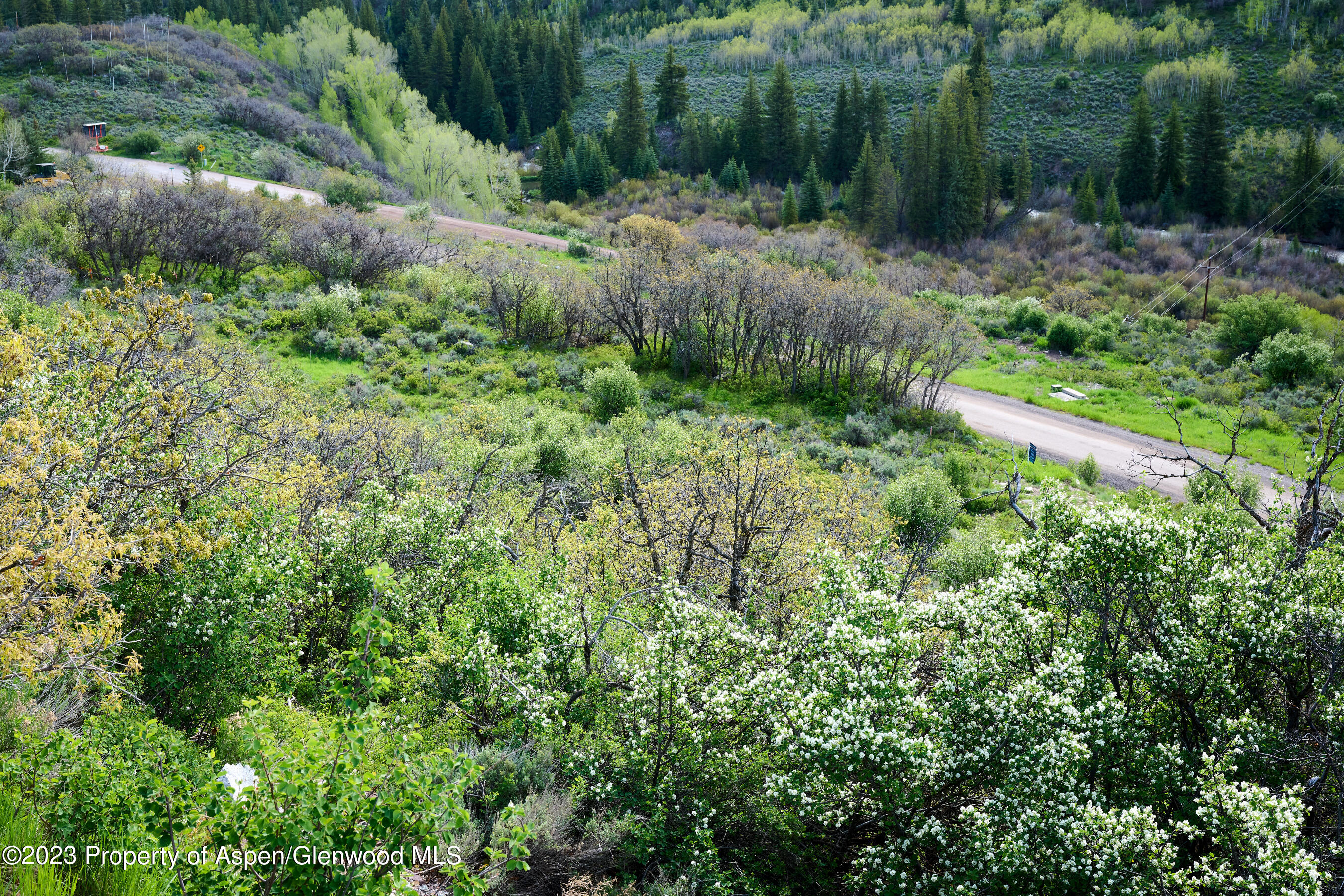 51 Shield O Road Snowmass, CO 81654 - Photo 14 of 24 51 Shield O Road 2700 Size 14
