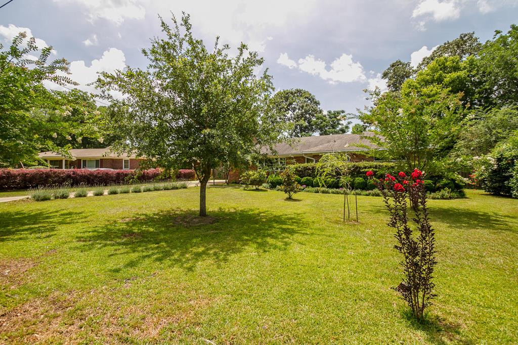508 Gilbert Street Southeast Aiken, SC 29801 - Photo 5 of 44