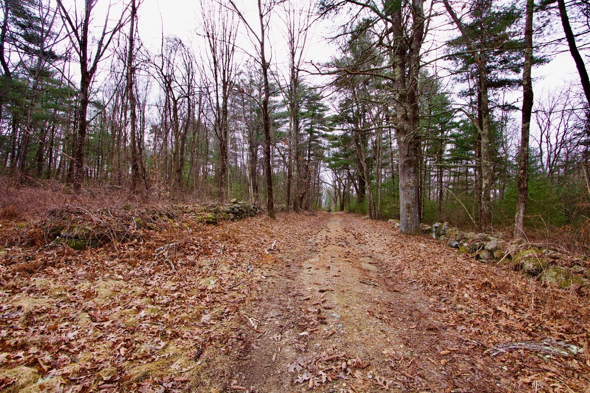 0 Short Road Hardwick, MA 01082 - Photo 4 of 5 Gallery Image 4