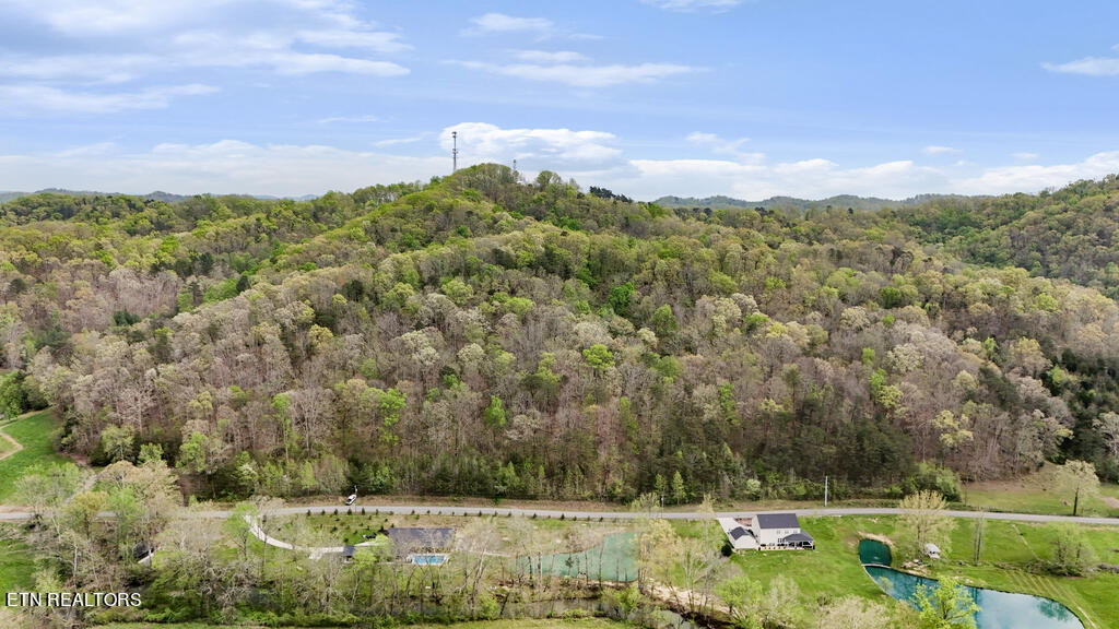 DJI_20240416153845_0014_D