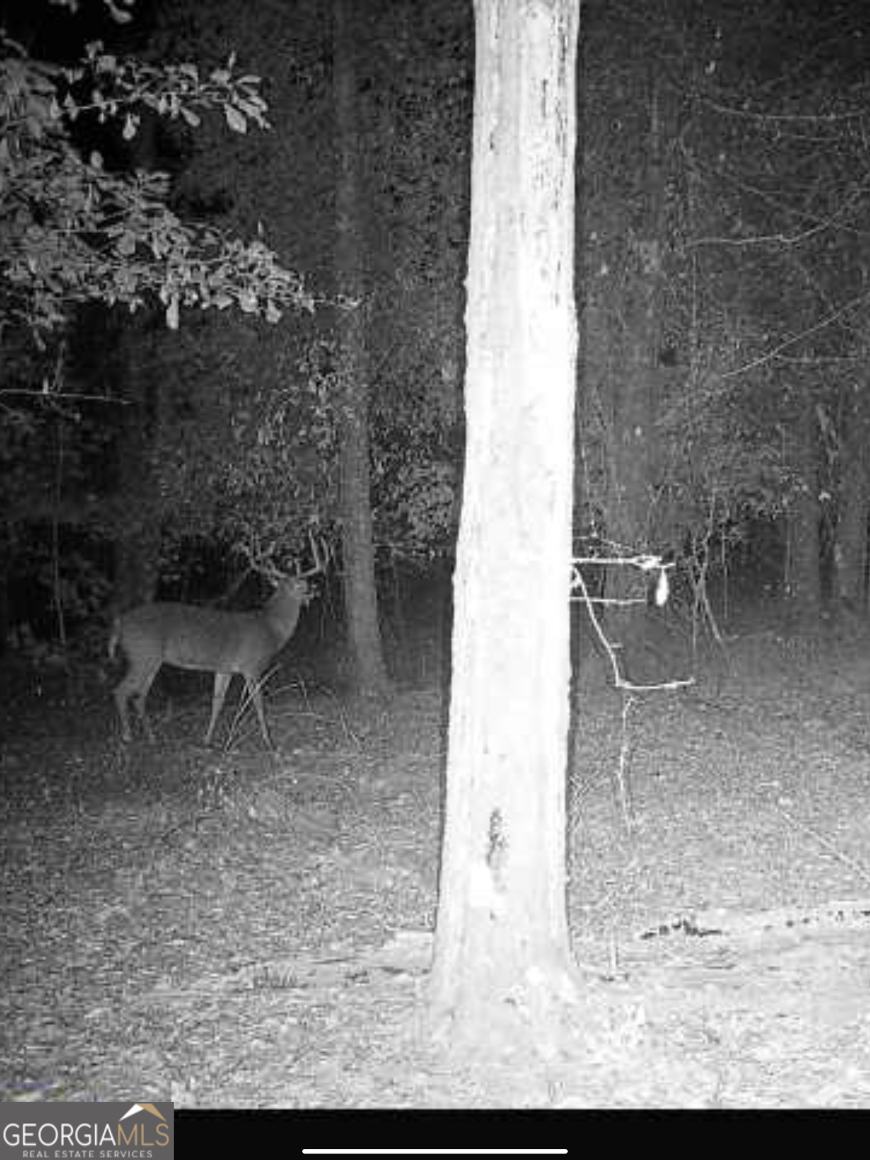 0 River Road Waynesboro, GA 30830 - Photo 37 of 37