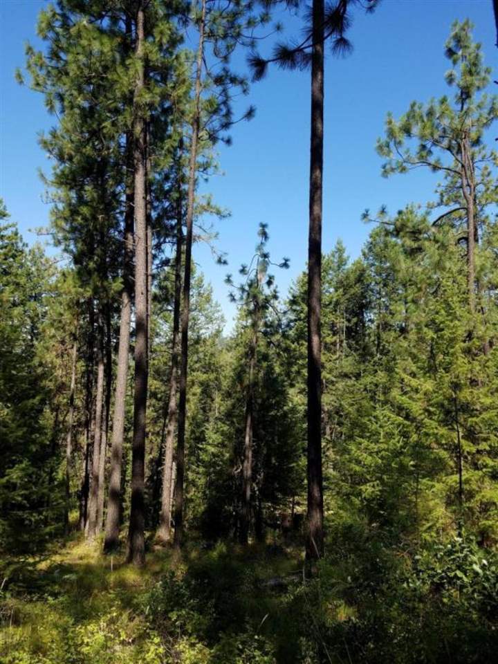 4531 South Hidden Road Loon Lake, WA 99148 - Photo 13 of 20