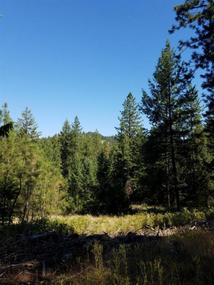 4531 South Hidden Road Loon Lake, WA 99148 - Photo 14 of 20