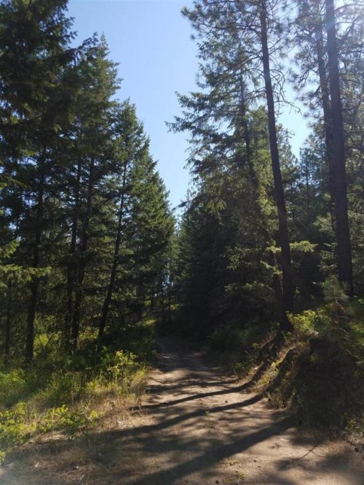 4531 South Hidden Road Loon Lake, WA 99148 - Photo 15 of 20