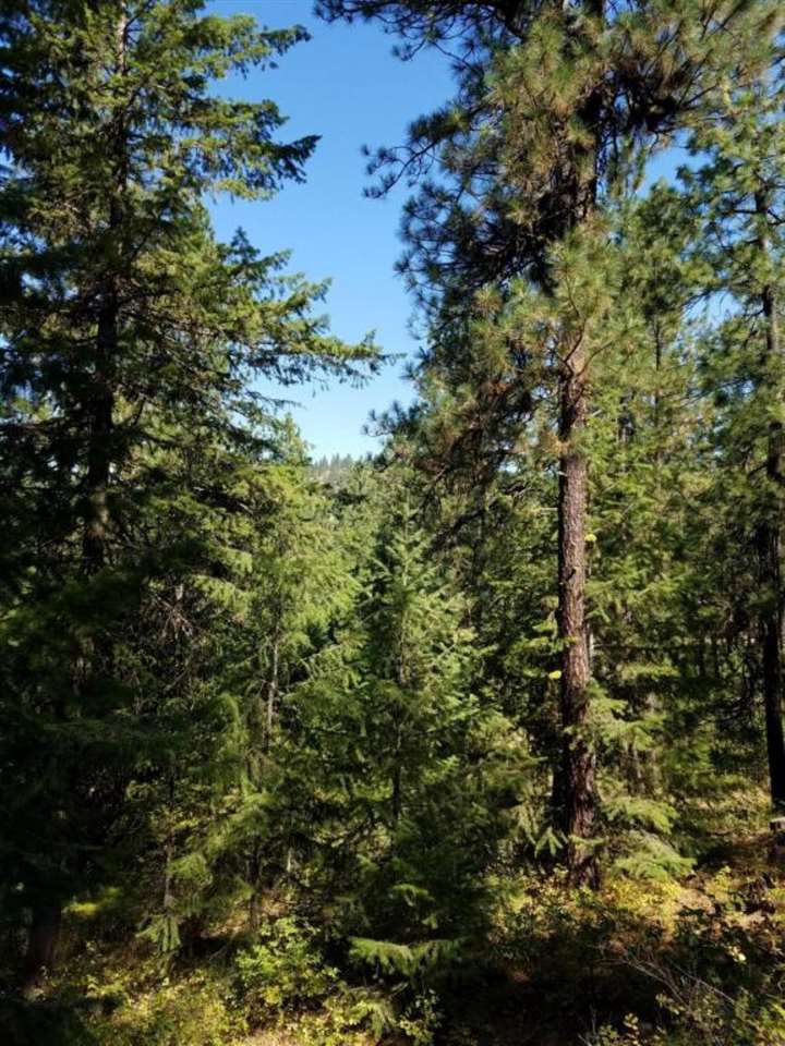 4531 South Hidden Road Loon Lake, WA 99148 - Photo 16 of 20