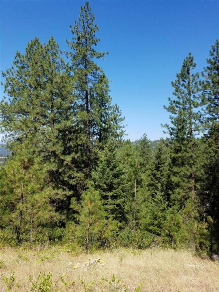 4531 South Hidden Road Loon Lake, WA 99148 - Photo 17 of 20