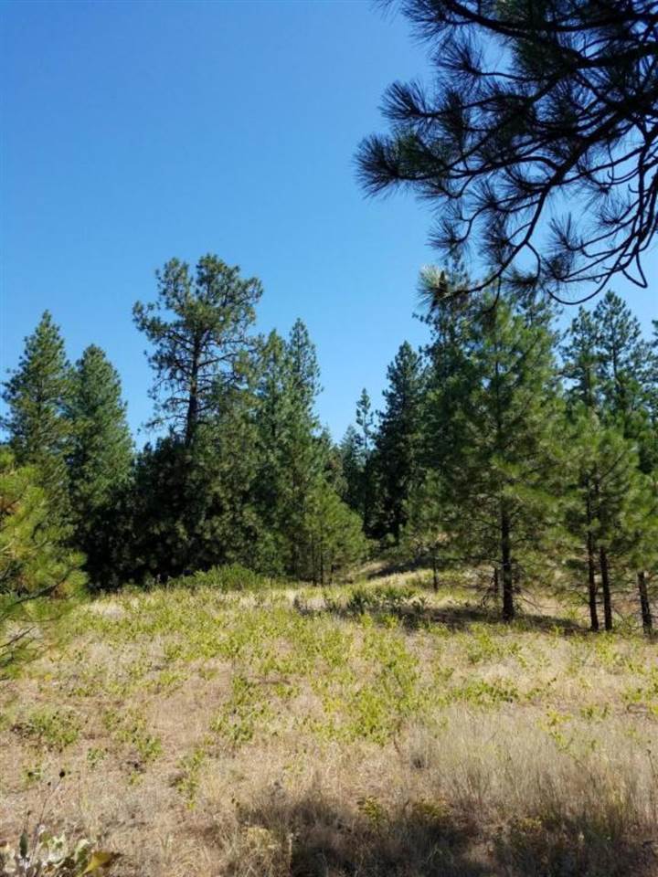 4531 South Hidden Road Loon Lake, WA 99148 - Photo 18 of 20