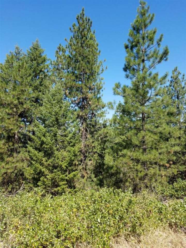 4531 South Hidden Road Loon Lake, WA 99148 - Photo 19 of 20