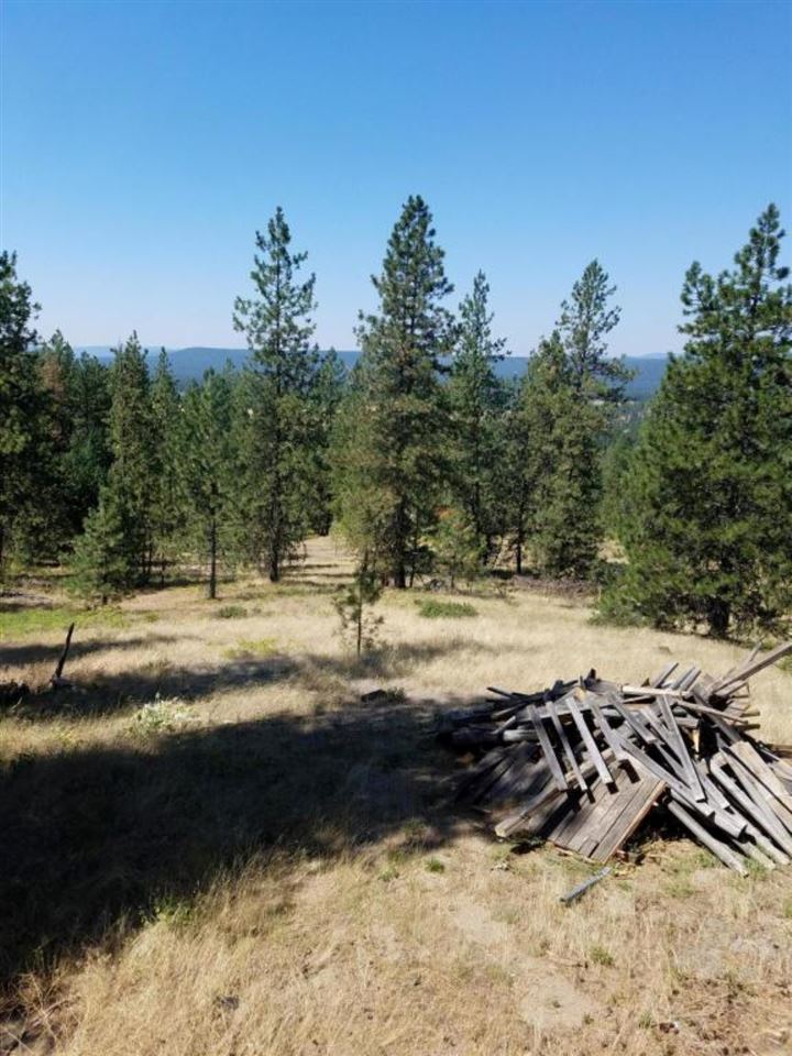 4531 South Hidden Road Loon Lake, WA 99148 - Photo 3 of 20