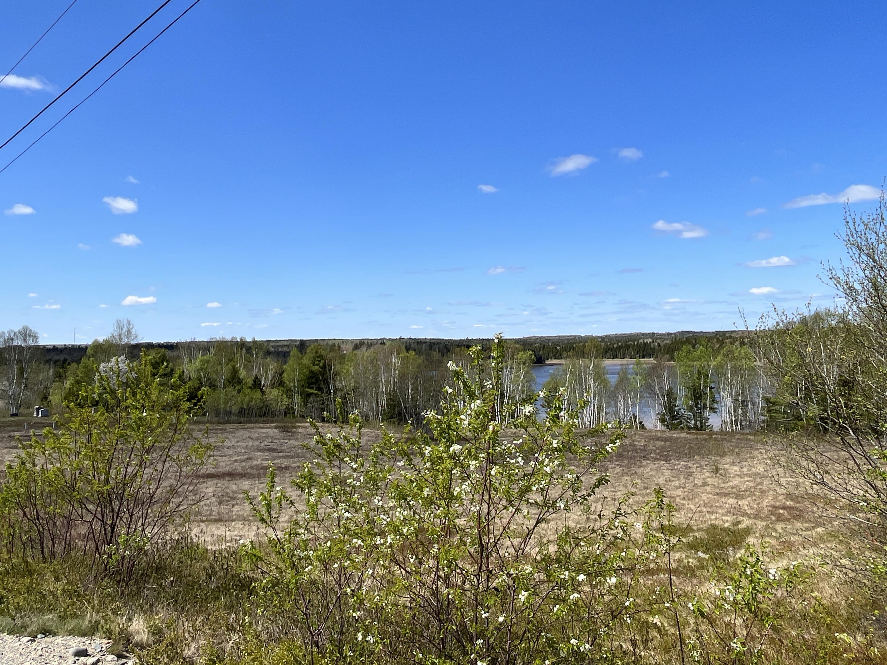 8 Blueberry Shrs Road Jonesport, ME 04649 - Photo 7 of 35 Mason Bay view from road
