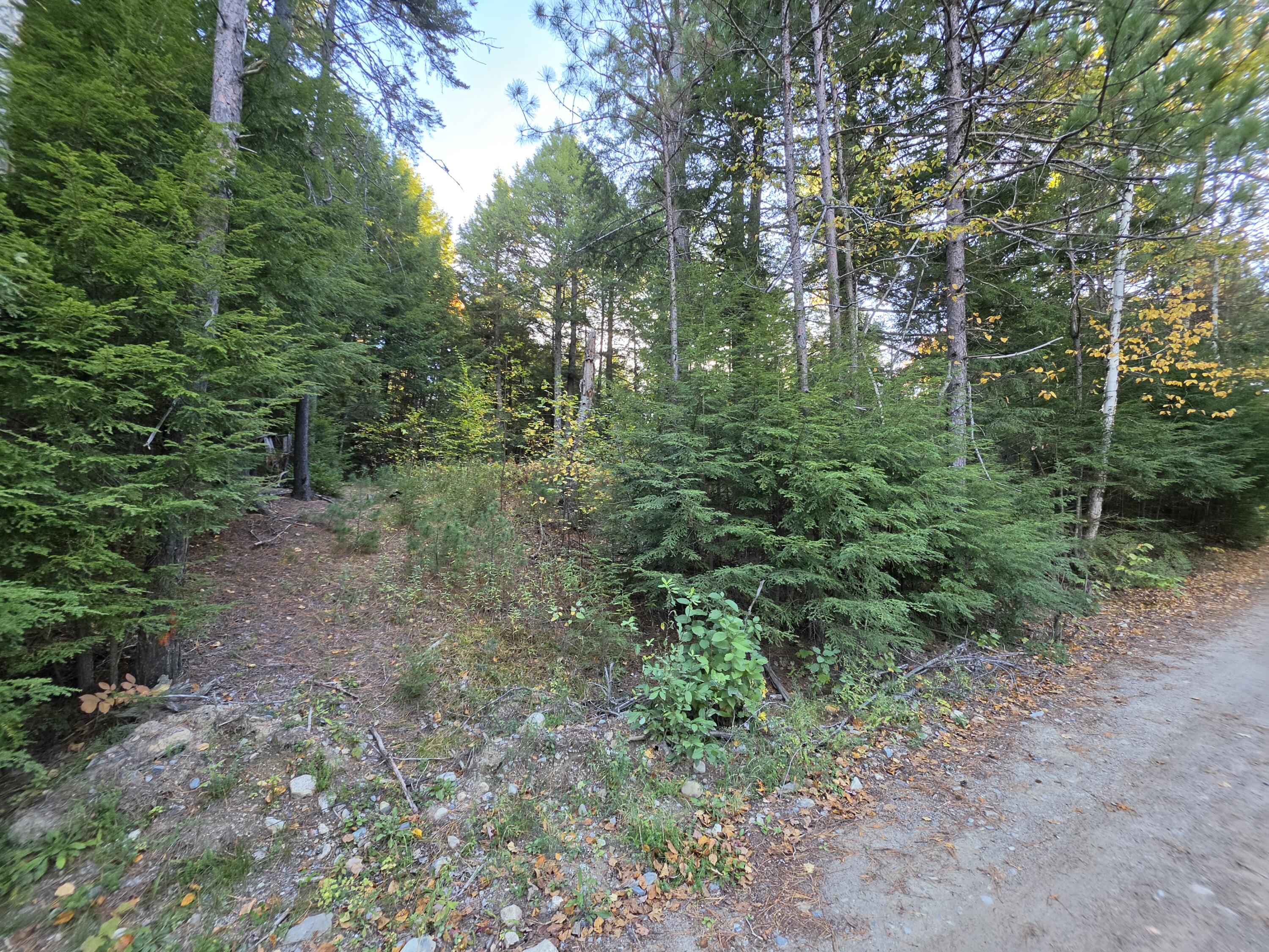 Lot 3 East Shore Road Lakeville, ME 04487 - Photo 55 of 59 20261007_074807
