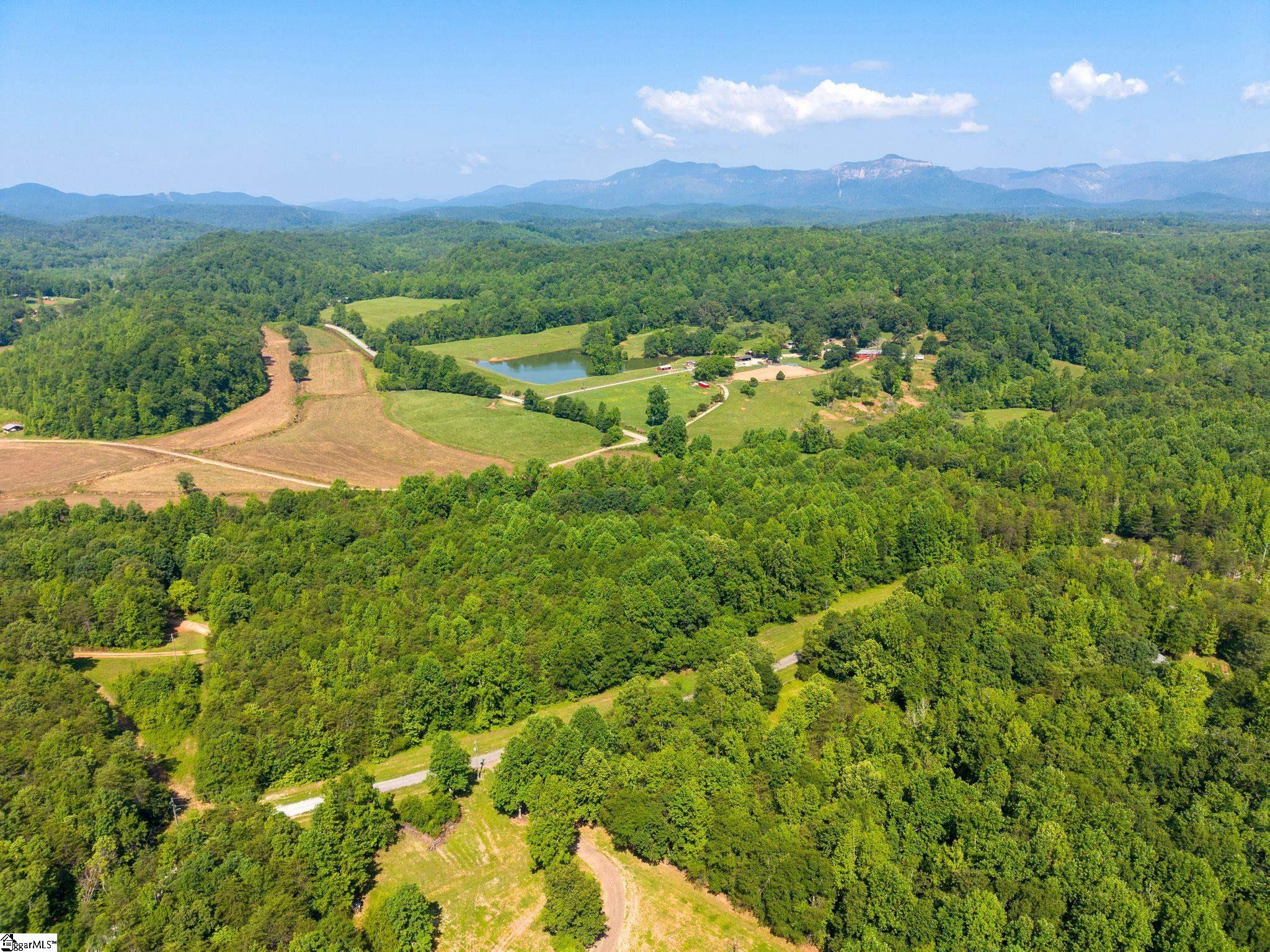 345 Table Rock Road Marietta, SC 29661 - Photo 11 of 15