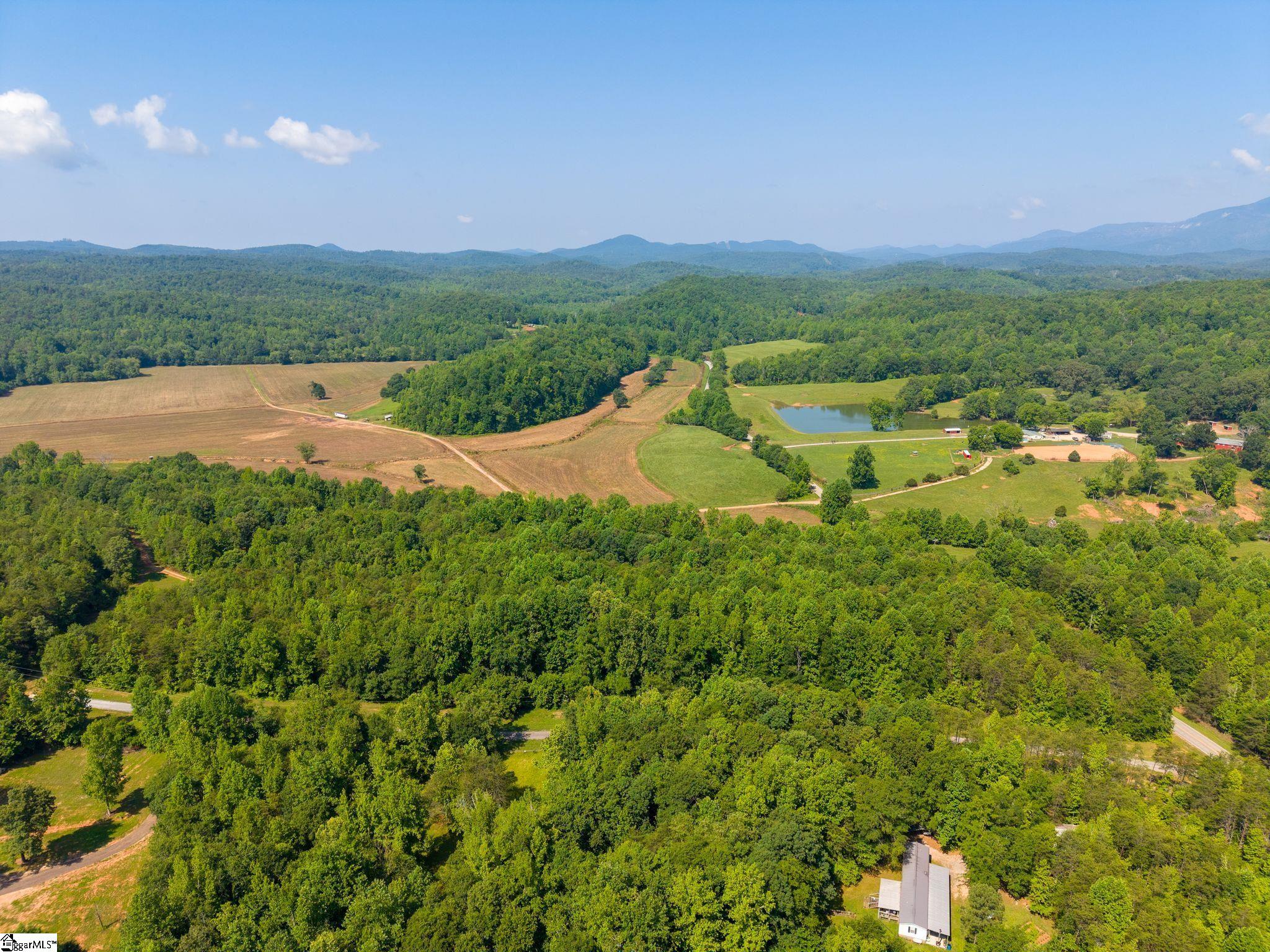 345 Table Rock Road Marietta, SC 29661 - Photo 12 of 15