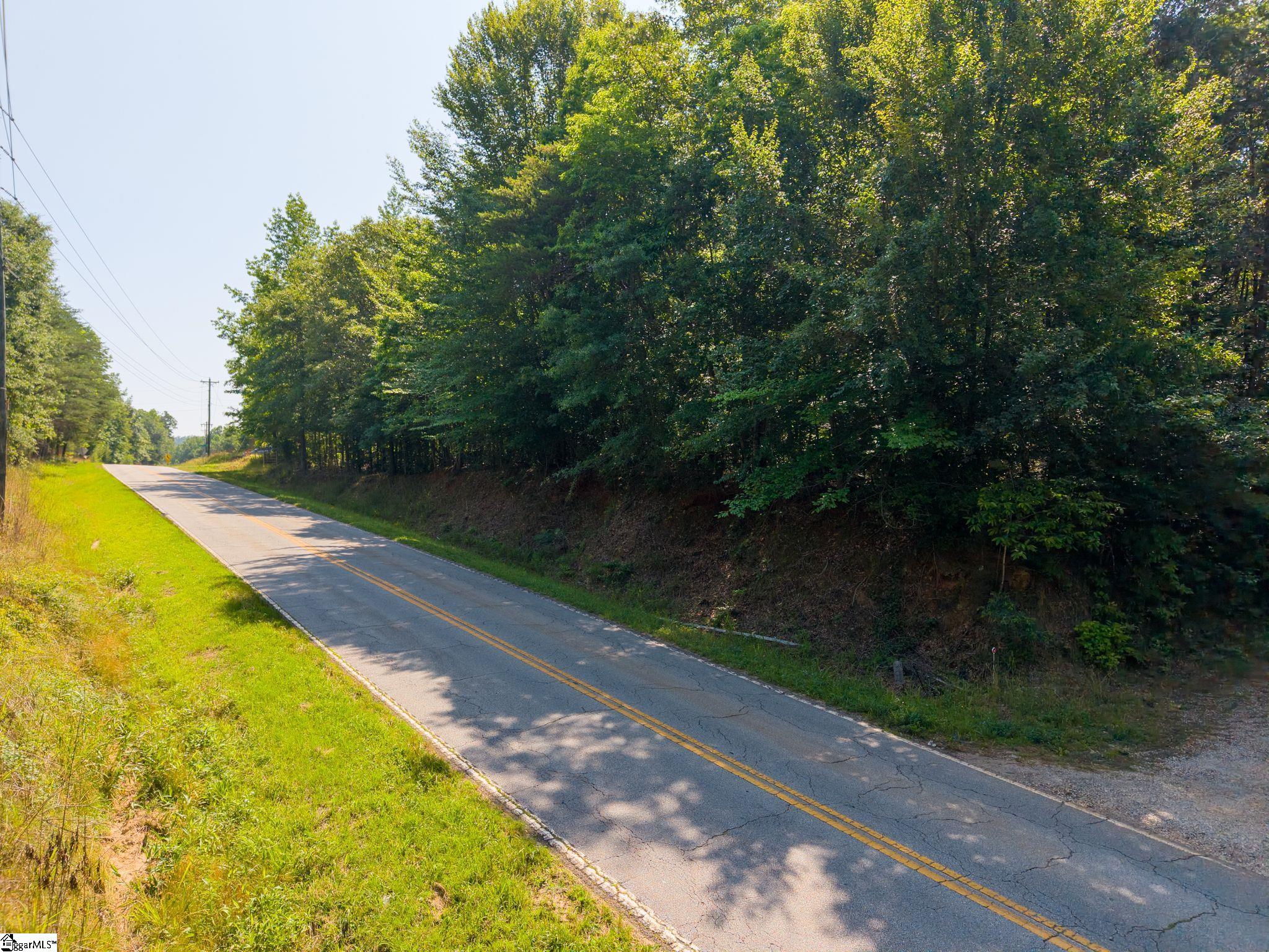345 Table Rock Road Marietta, SC 29661 - Photo 14 of 15