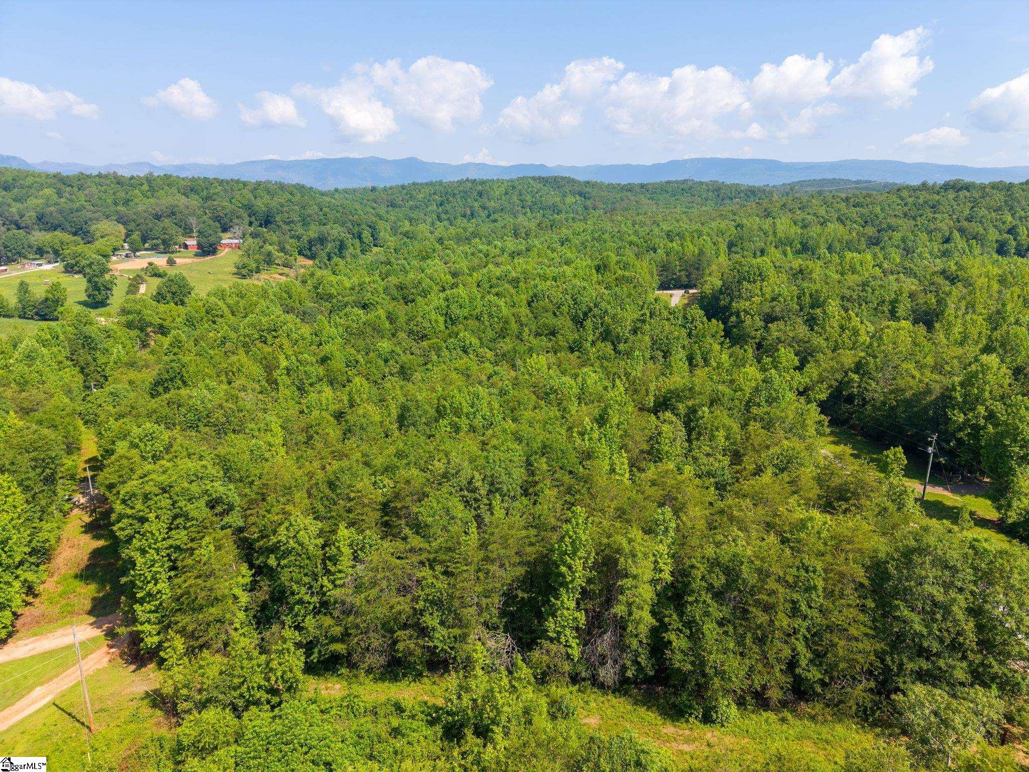 345 Table Rock Road Marietta, SC 29661 - Photo 15 of 15