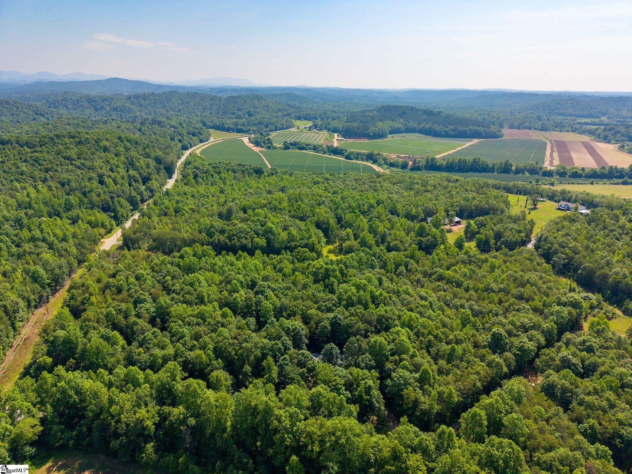 345 Table Rock Road Marietta, SC 29661 - Photo 7 of 15