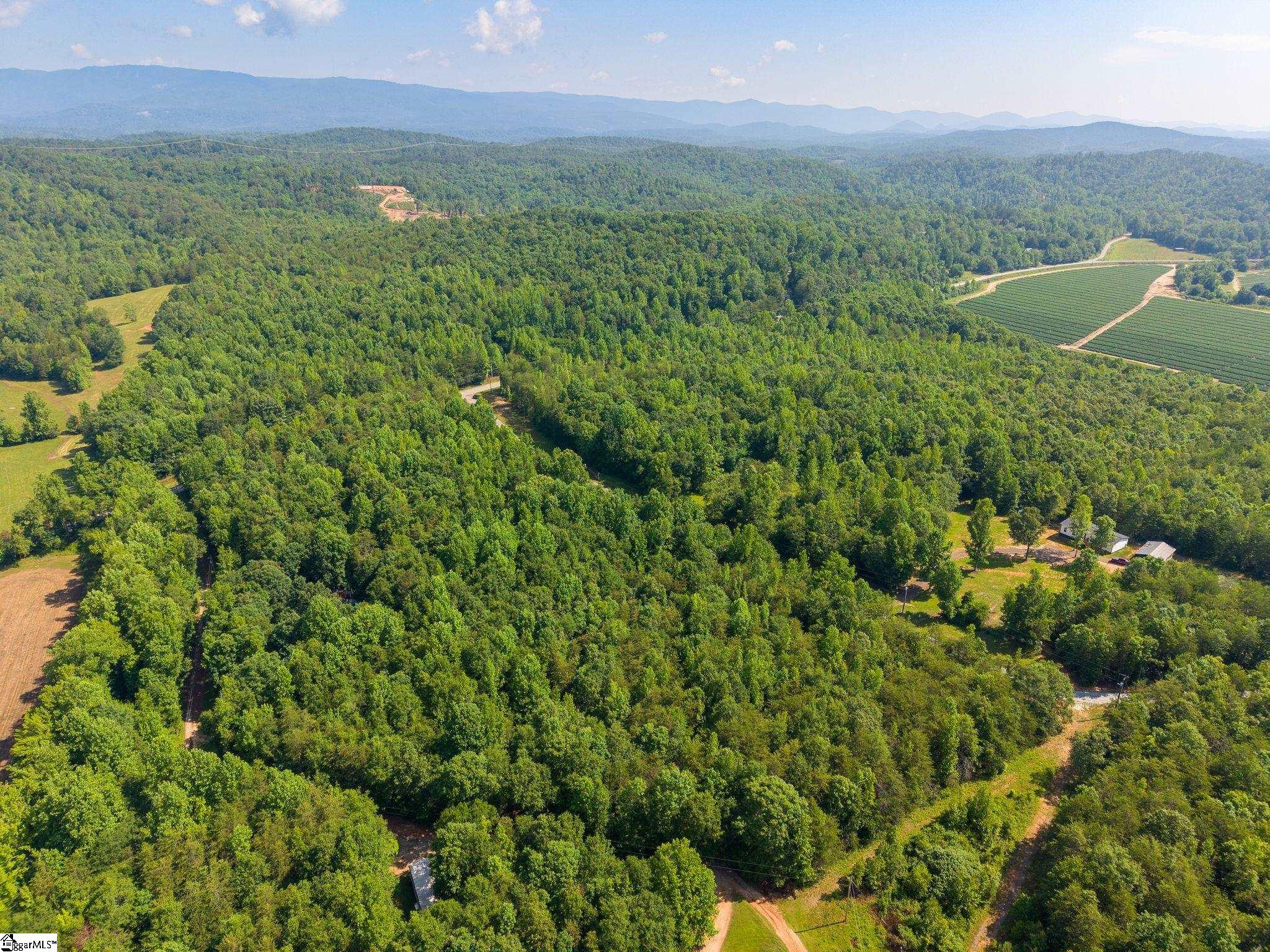 345 Table Rock Road Marietta, SC 29661 - Photo 8 of 15