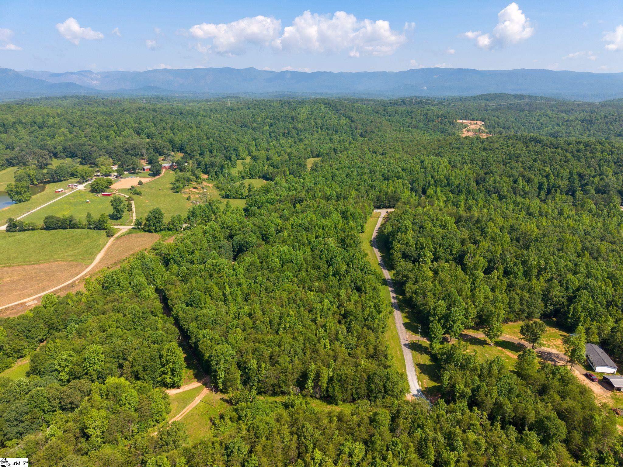 345 Table Rock Road Marietta, SC 29661 - Photo 9 of 15