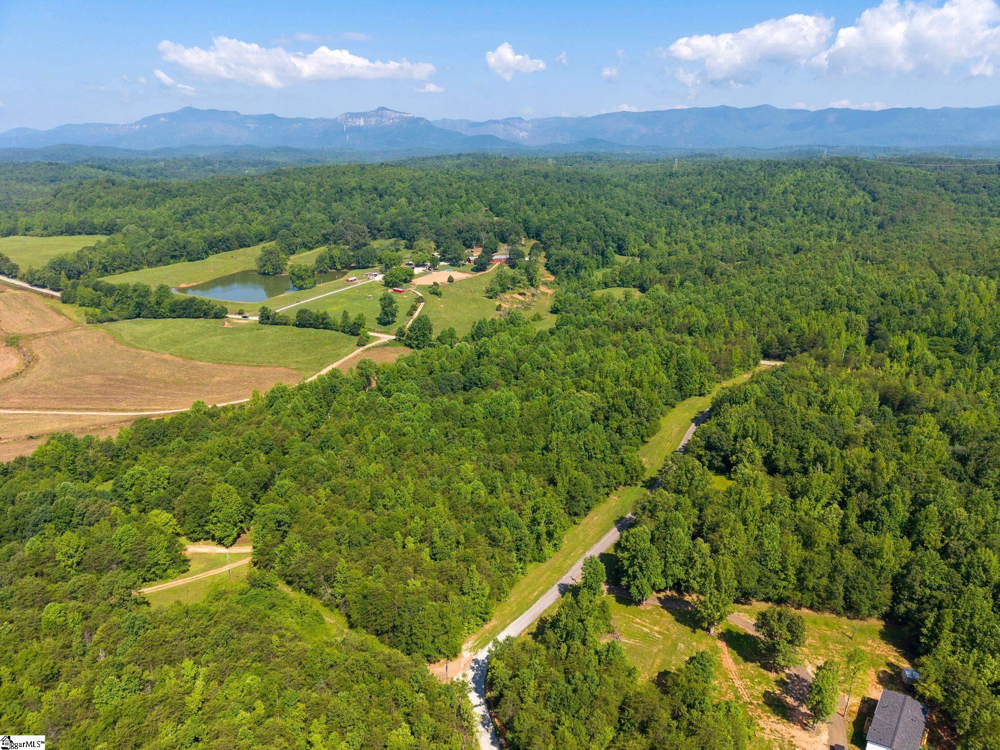 345 Table Rock Road Marietta, SC 29661 - Photo 10 of 15