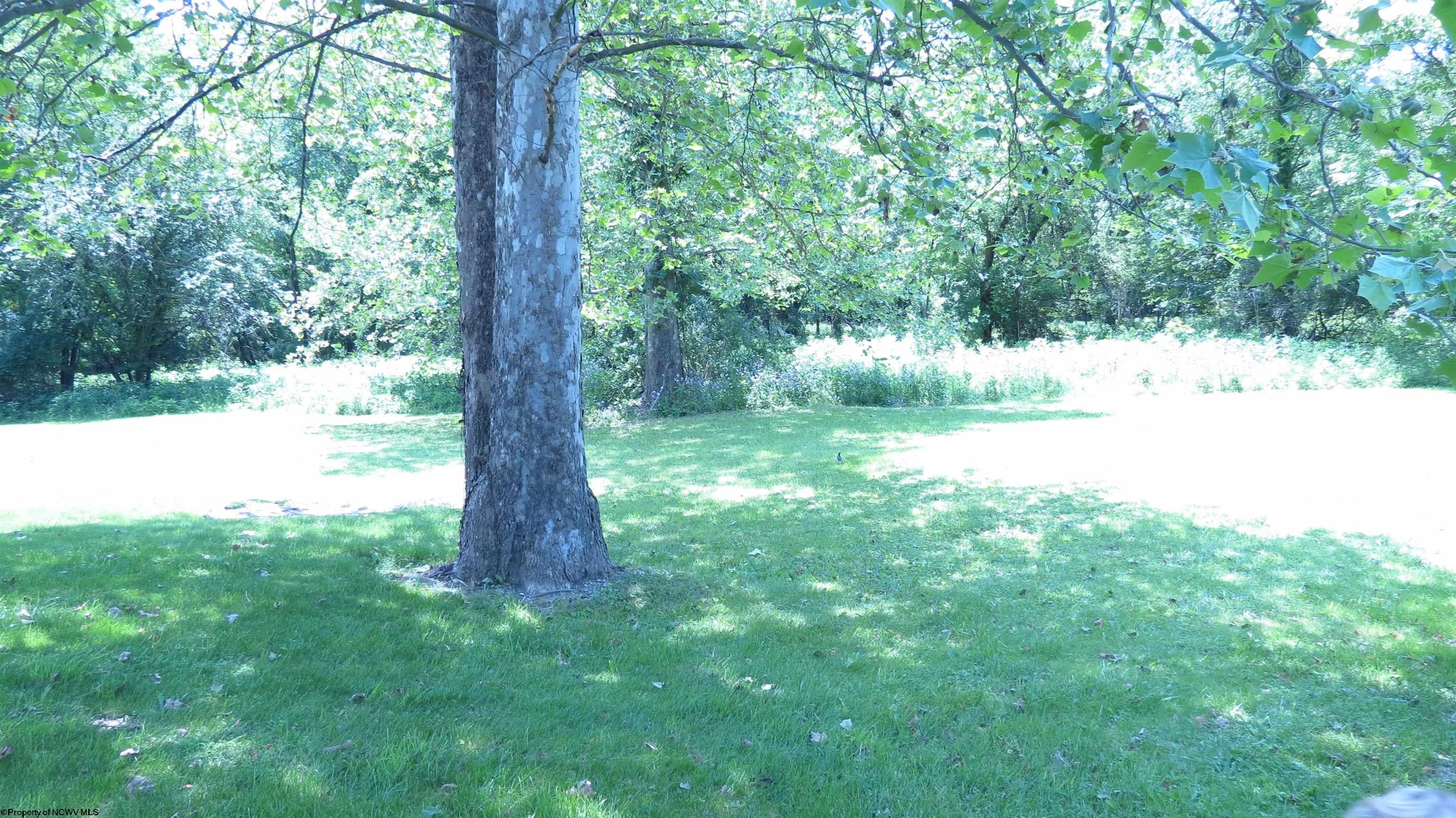 308 Files Creek Road Beverly, WV 26253 - Photo 27 of 31 Gallery Image 27