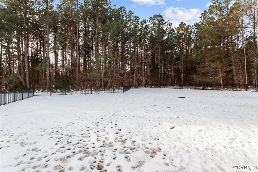 14101 Cox Road Church Road, VA 23833 - Photo 36 of 50