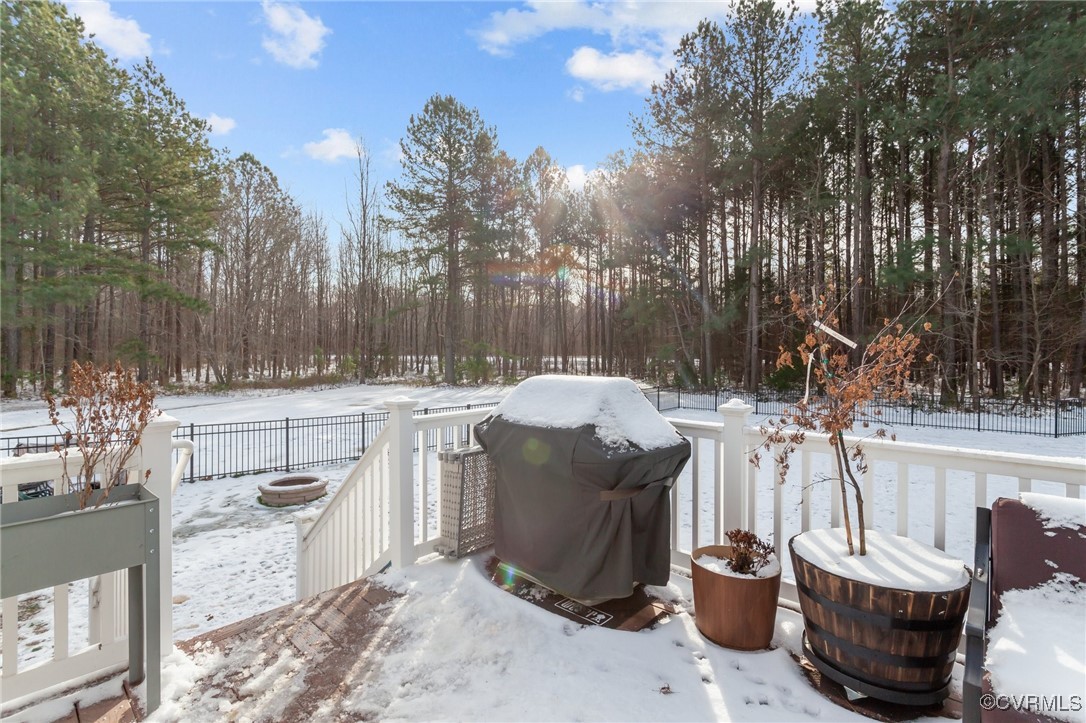 14101 Cox Road Church Road, VA 23833 - Photo 38 of 50