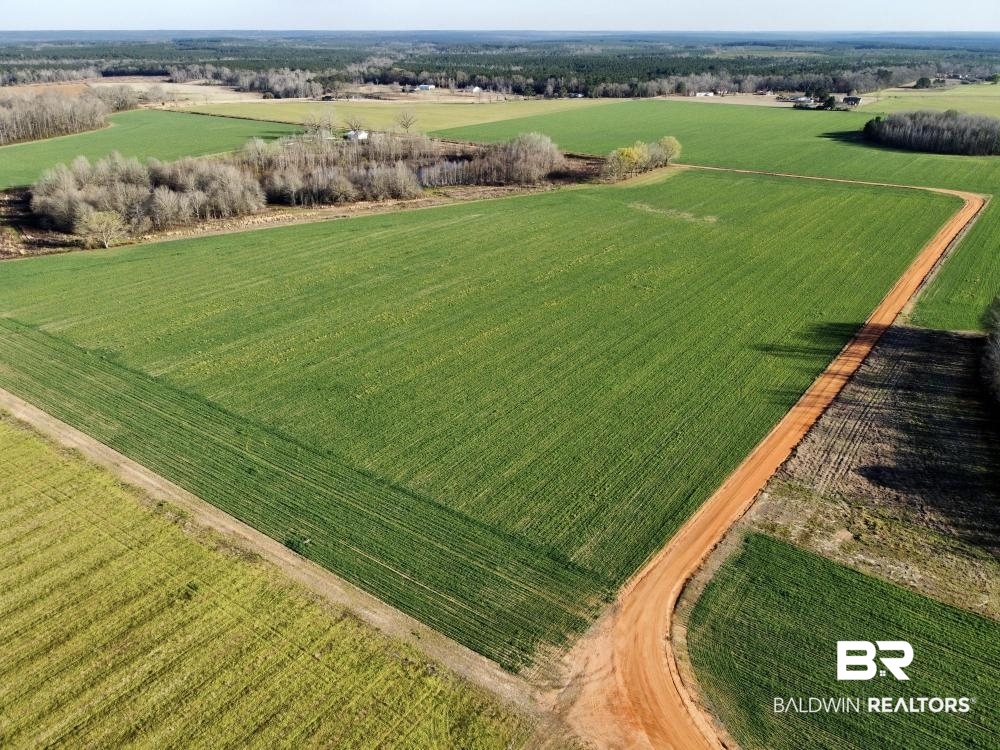 0 Byrd Road Atmore, AL 36502 - Photo 1 of 27 Gallery Image 1