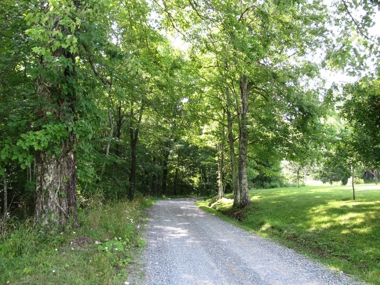 1801 Ford Knob Road Meadow Bridge, WV 25976 - Photo 6 of 38 Ford Knob Tour 06