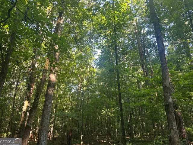 a view of outdoor space and trees all around