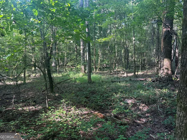 a view of a lush green space