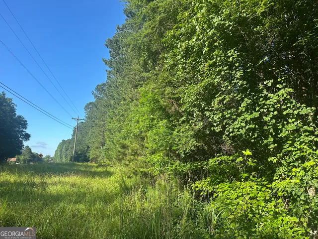 a view of a lush green space