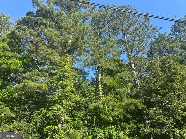 $271,350 | 0 Highway 72 East, Carlton, GA 30627